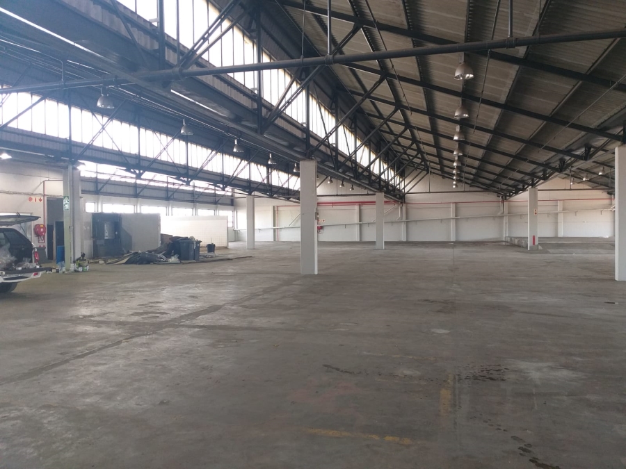 To Let Commercial Property for Rent in Paarden Eiland Western Cape